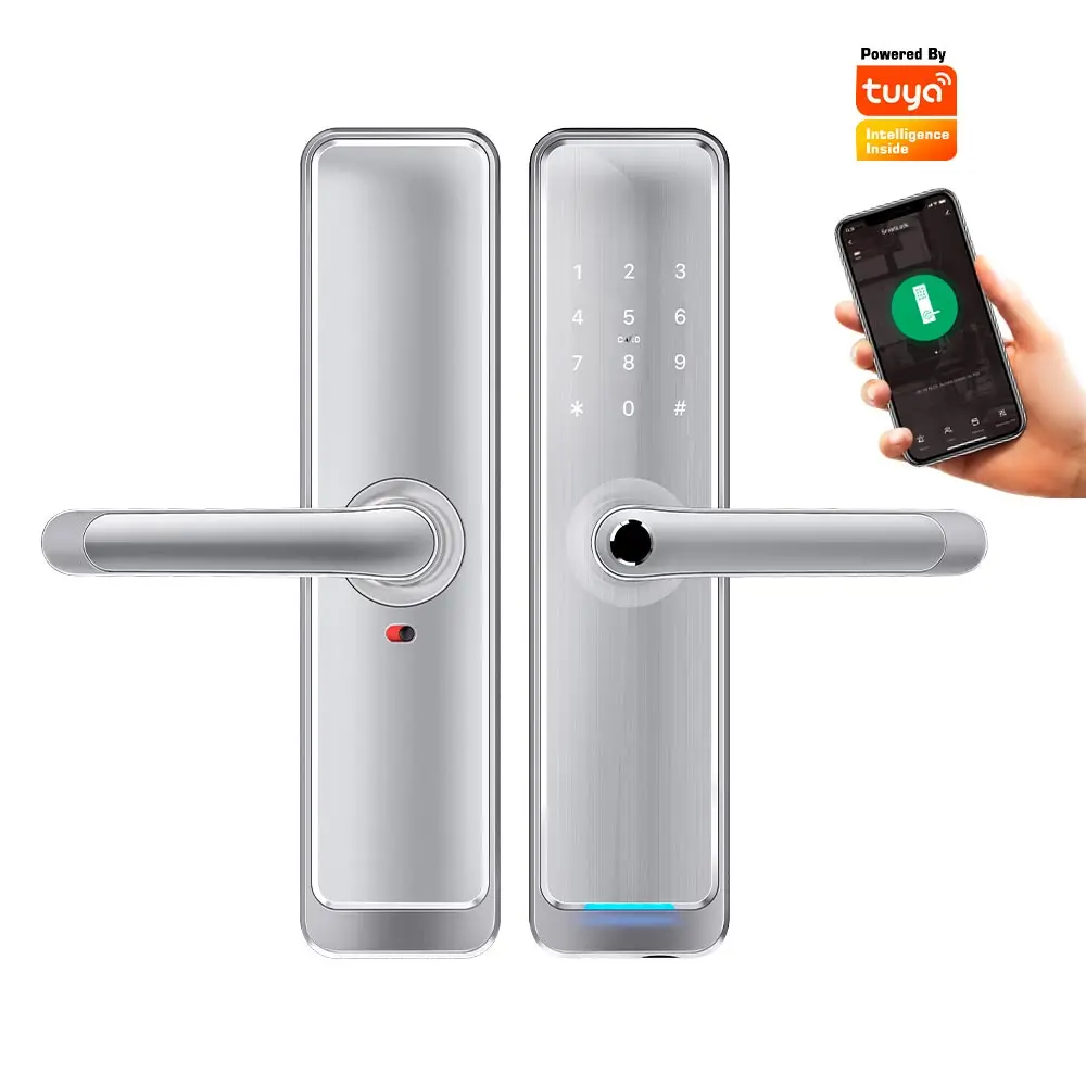 Double Door Smart Lock Set