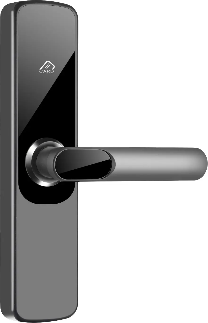 Smart Front Door Lock with Handle