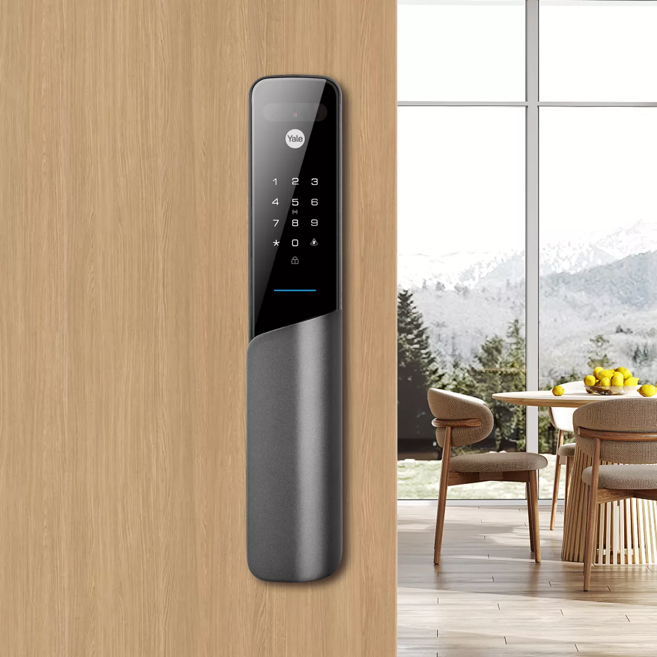 Luxury Apartment Smart Door Locks