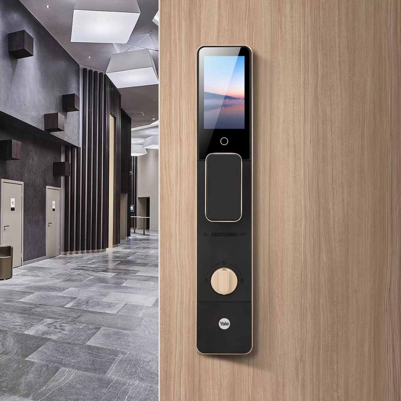 Remote Smart Door Locks